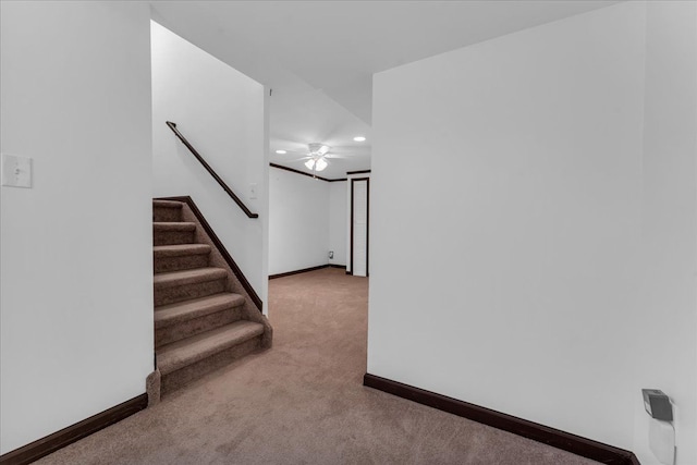 stairway featuring carpet flooring and ceiling fan