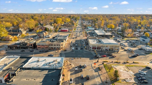 bird's eye view