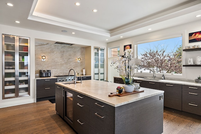 kitchen featuring dark hardwood / wood-style floors, a tray ceiling, sink, and a center island with sink