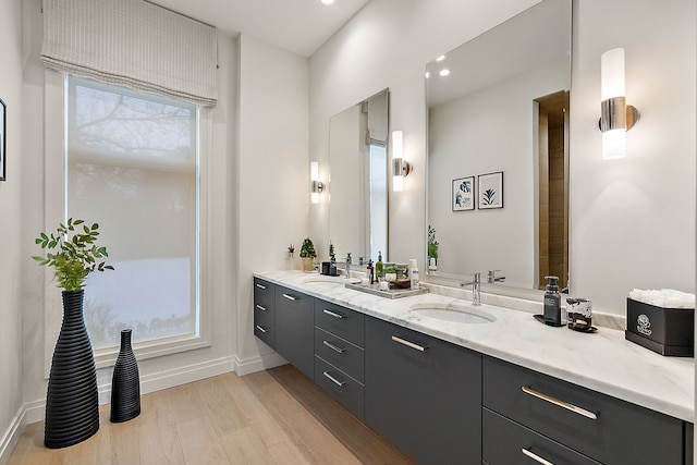 bathroom with wood-type flooring and vanity