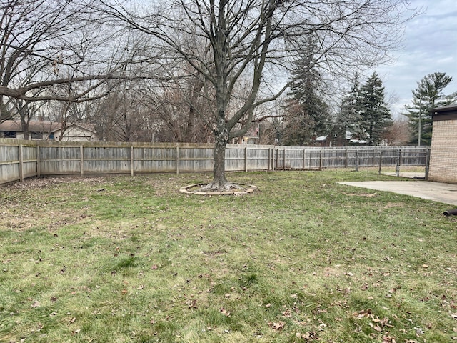 view of yard featuring a patio