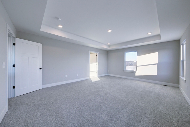 unfurnished room with carpet and a raised ceiling