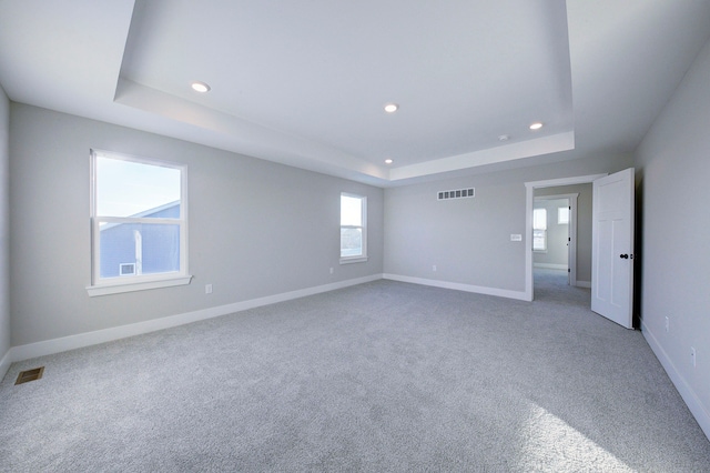 carpeted empty room with a tray ceiling and a healthy amount of sunlight