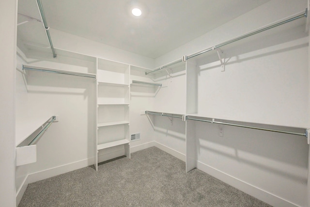 spacious closet featuring carpet floors