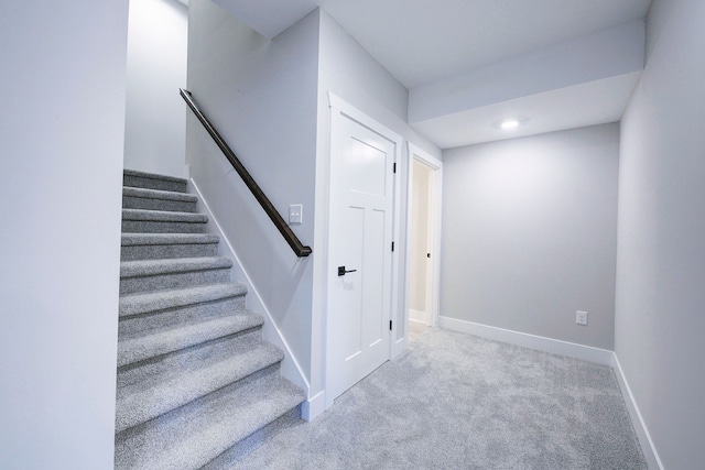 staircase featuring carpet flooring