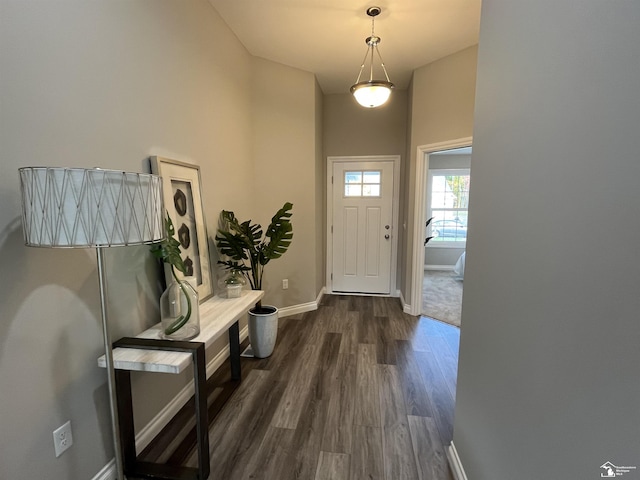 doorway with dark wood-type flooring