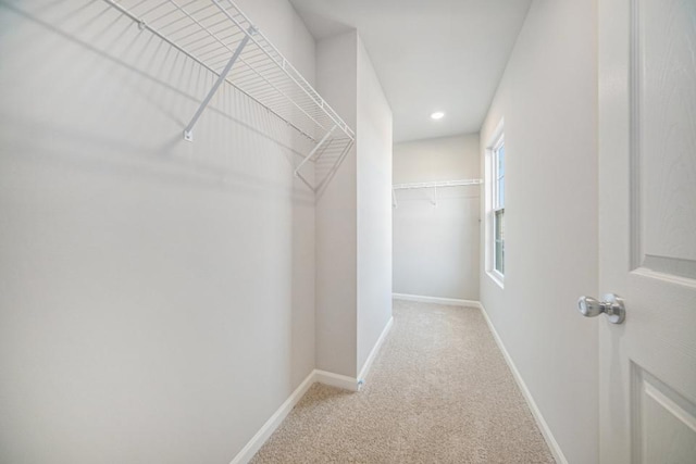 walk in closet featuring light carpet