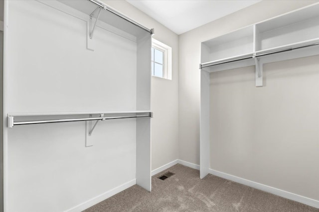 spacious closet with light colored carpet