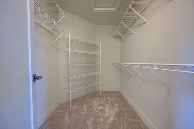 spacious closet featuring light carpet