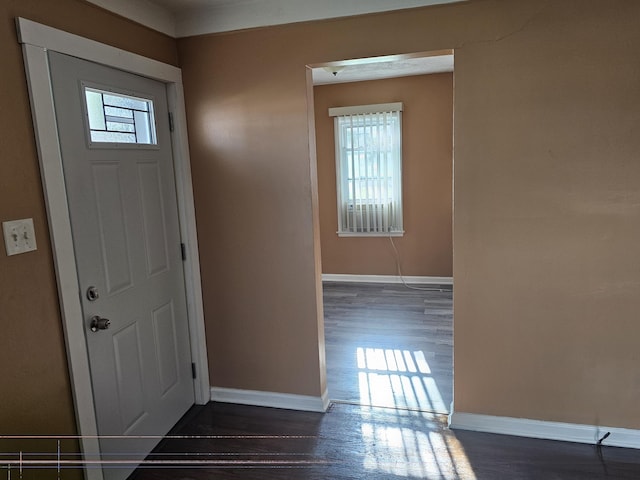 entryway with a healthy amount of sunlight and dark hardwood / wood-style floors