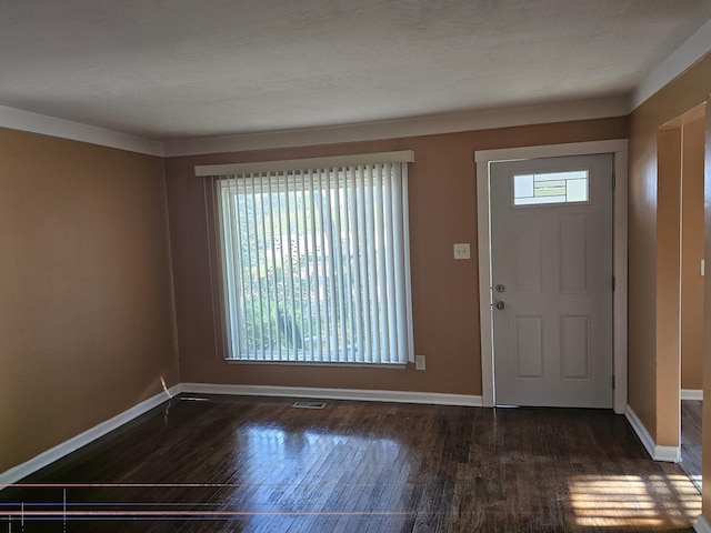 foyer entrance with dark hardwood / wood-style flooring and a wealth of natural light