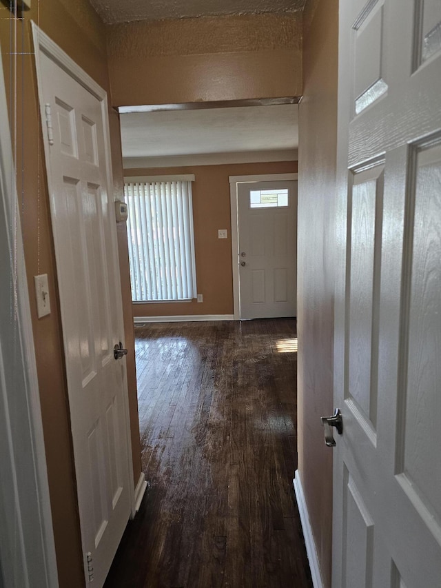 foyer entrance with dark hardwood / wood-style flooring