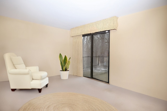 sitting room with carpet floors