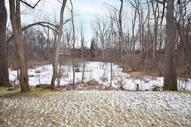 view of yard layered in snow