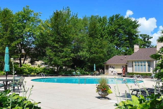 view of pool featuring a patio area