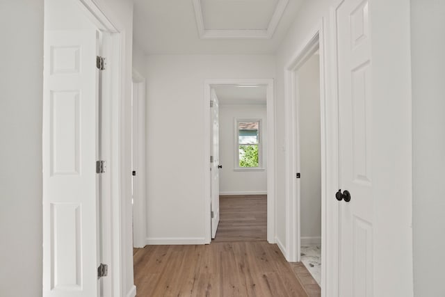 hallway with crown molding and light hardwood / wood-style flooring