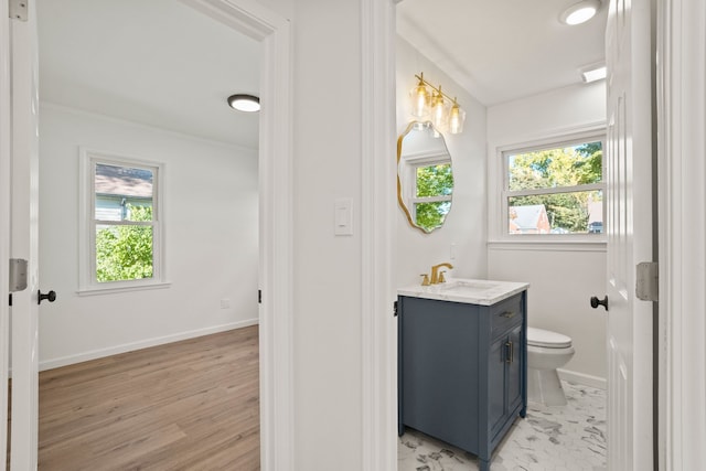 bathroom with vanity, hardwood / wood-style flooring, and toilet