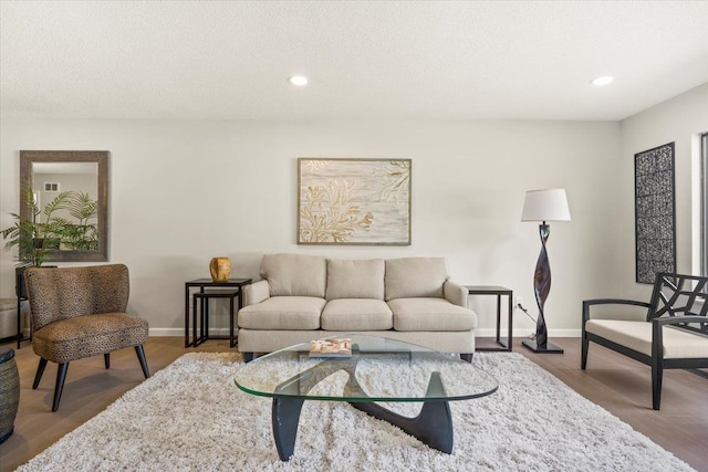 living room featuring wood-type flooring and a textured ceiling