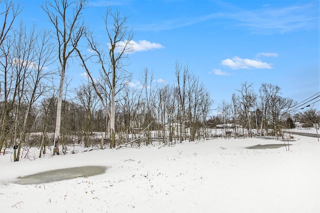 view of yard layered in snow