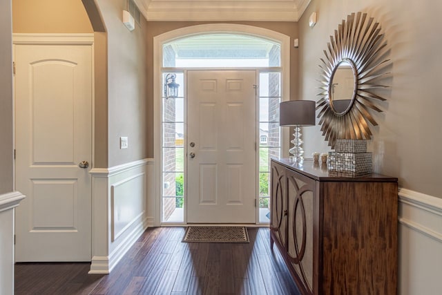 foyer entrance featuring ornamental molding, dark hardwood / wood-style flooring, and plenty of natural light