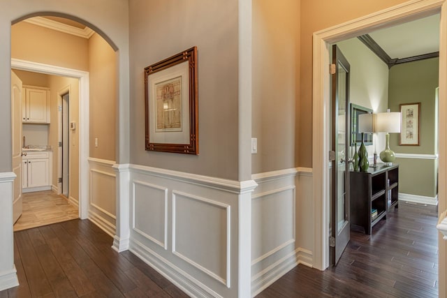 corridor featuring dark wood-type flooring, crown molding, and sink