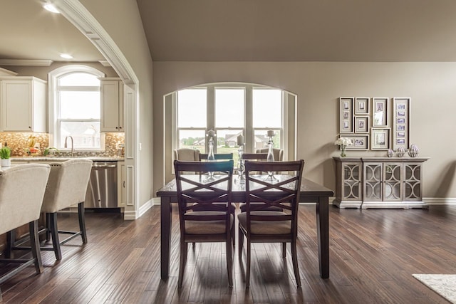 dining space featuring sink, lofted ceiling, a wealth of natural light, and dark wood-type flooring