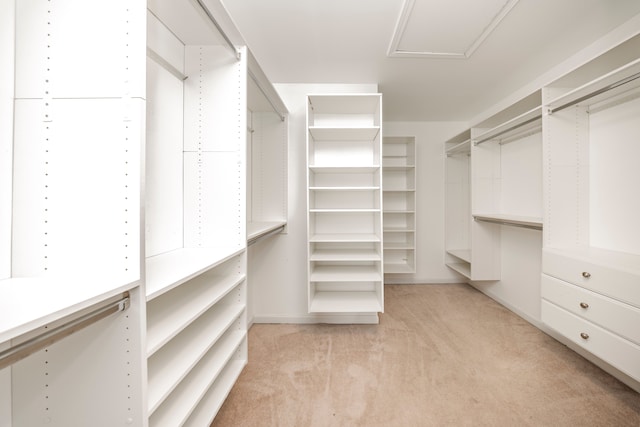 spacious closet featuring light carpet