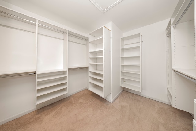 spacious closet with light carpet