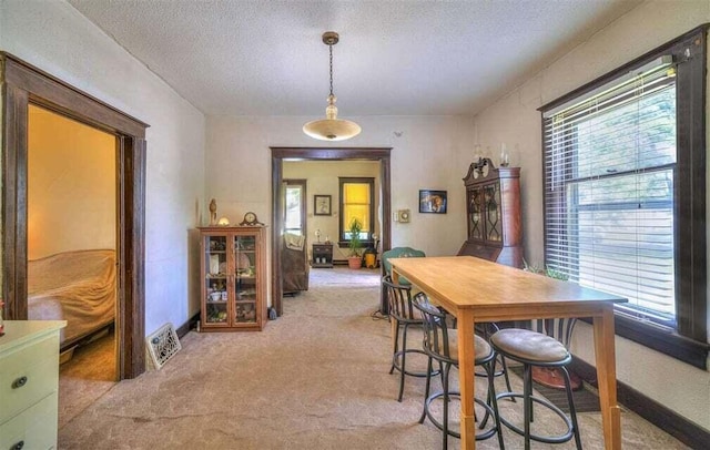 carpeted dining room with a healthy amount of sunlight and a textured ceiling