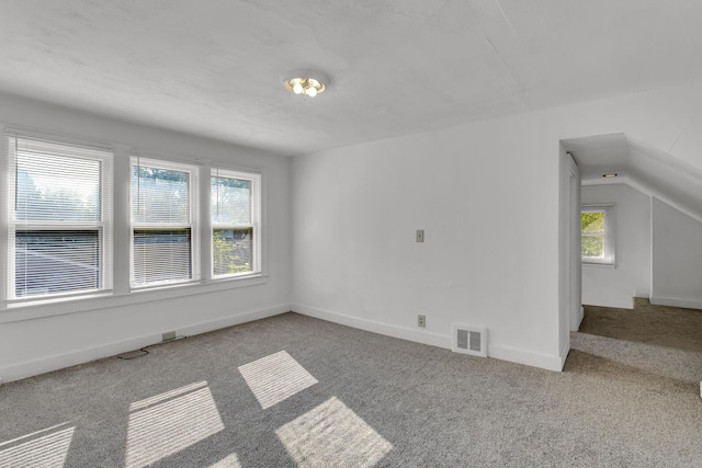 unfurnished room featuring a wealth of natural light and carpet floors