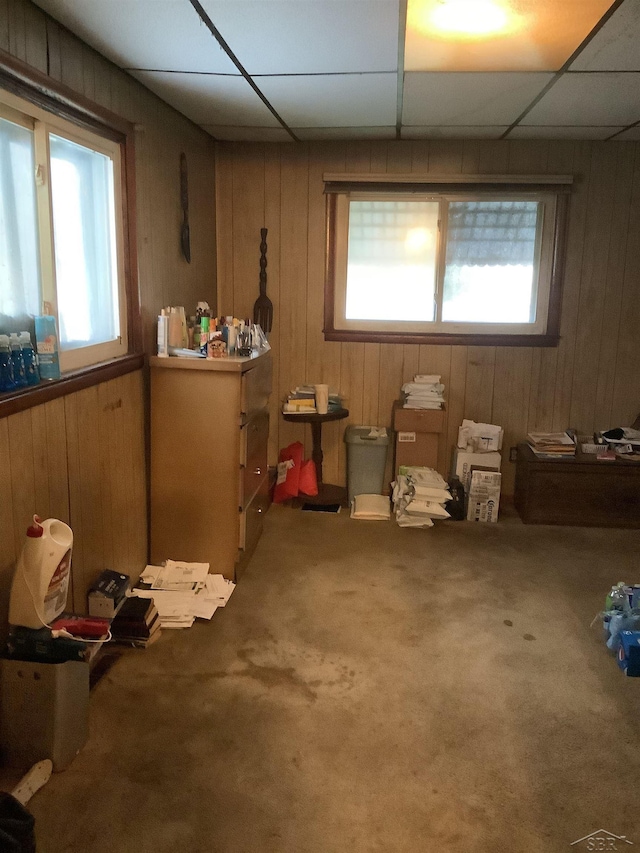 4135 Gallagher St, Saginaw, MI 48601 - miscellaneous room featuring carpet flooring, wood walls, and a drop ceiling