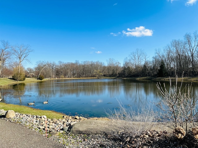 water view