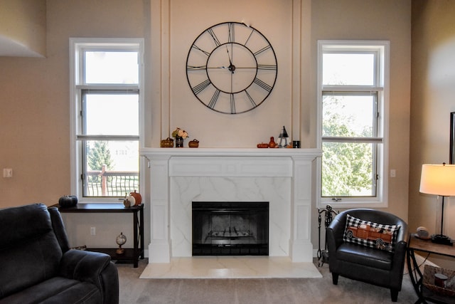 interior space featuring a wealth of natural light and a premium fireplace