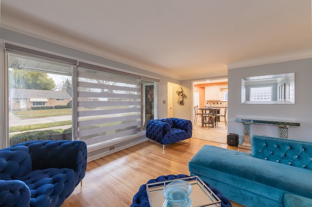 living room featuring hardwood / wood-style floors and ornamental molding