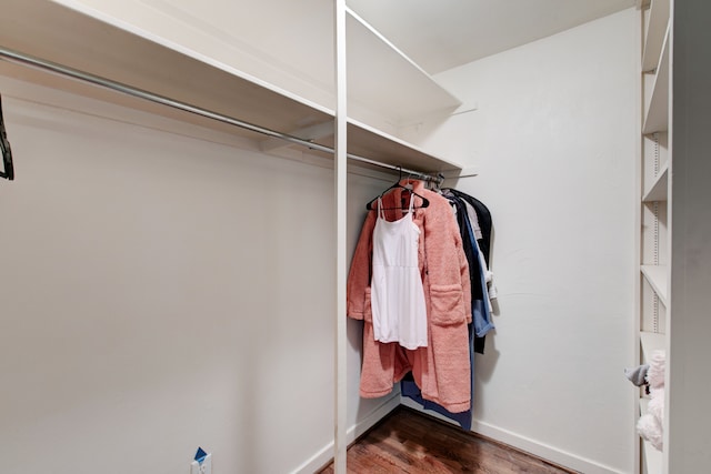 walk in closet featuring dark wood-type flooring