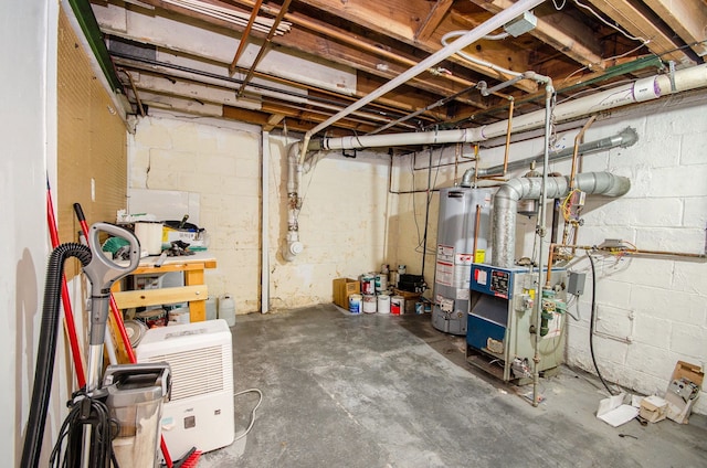 basement featuring gas water heater