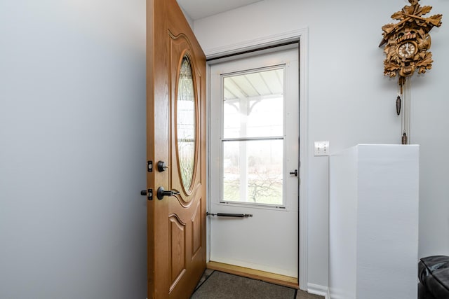 doorway featuring a wealth of natural light