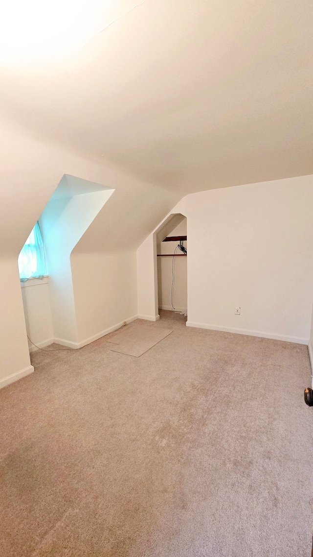 additional living space with lofted ceiling and carpet floors