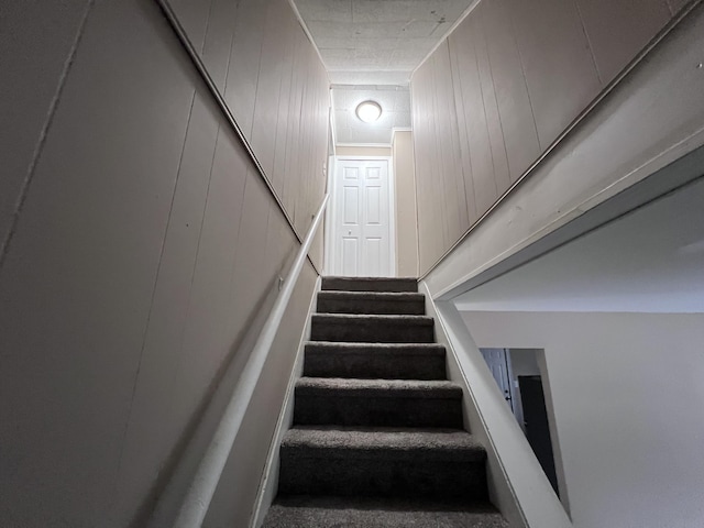 stairway with carpet floors and wooden walls