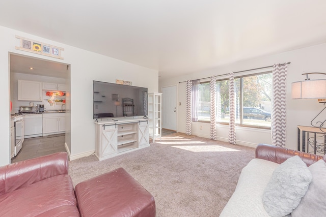 living room with carpet floors