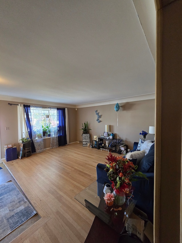 living room featuring hardwood / wood-style flooring