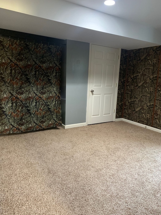 basement featuring carpet