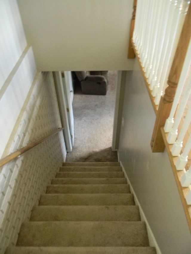 staircase featuring carpet