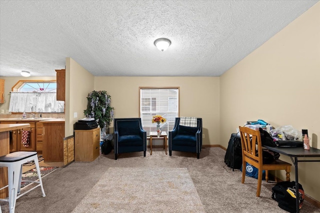 office area featuring light carpet, sink, and a textured ceiling