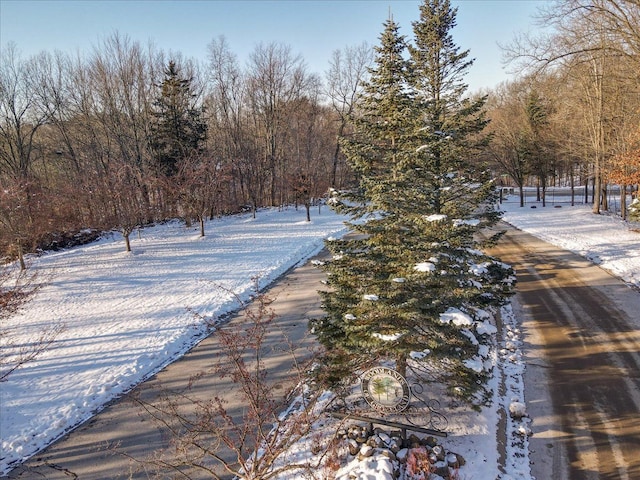 view of snowy yard