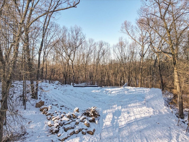 yard layered in snow featuring a forest view