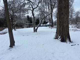 view of yard covered in snow