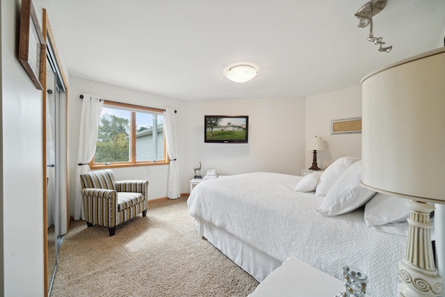 bedroom with carpet flooring