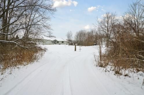 view of yard covered in snow