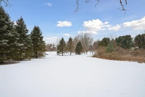 view of snowy yard